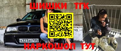 шишки Обь