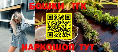 шишки Обь