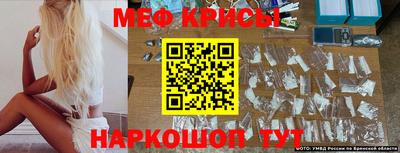шишки Обь