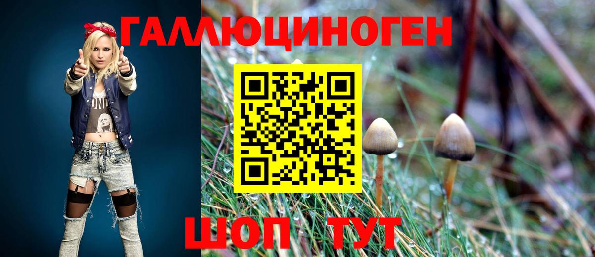 Псилоцибиновые грибы мухоморы  Вход с VPN  Галлюциногенные грибы мухоморы  Рязань 
